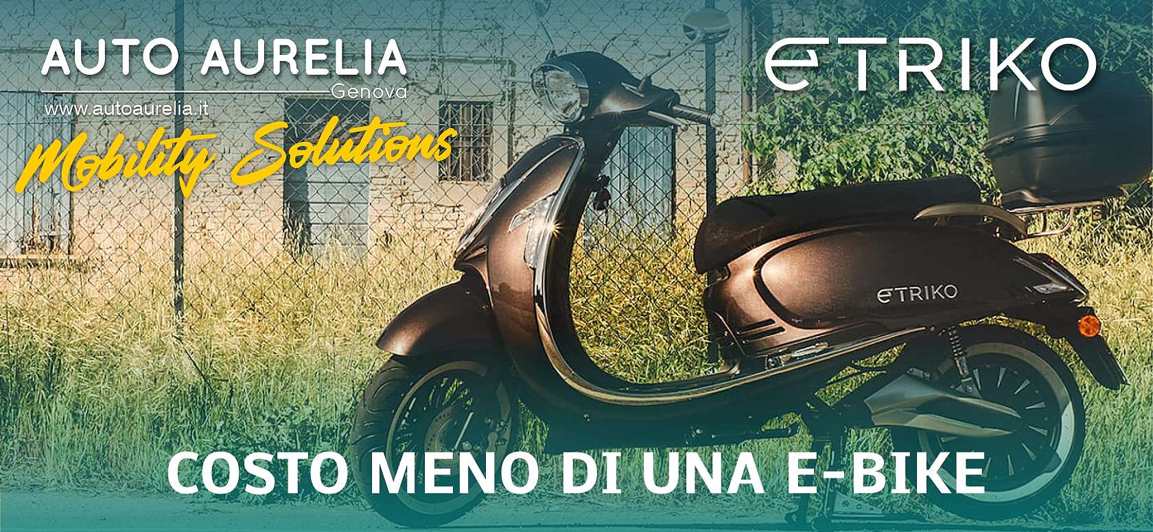 e-triko-ebike.jpg