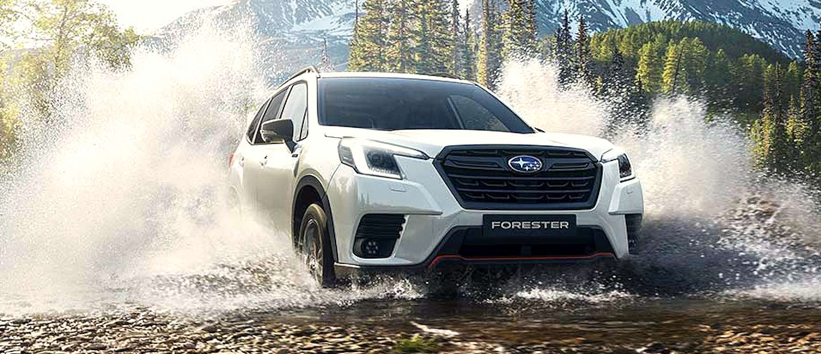 forester-larga-bianca.jpg
