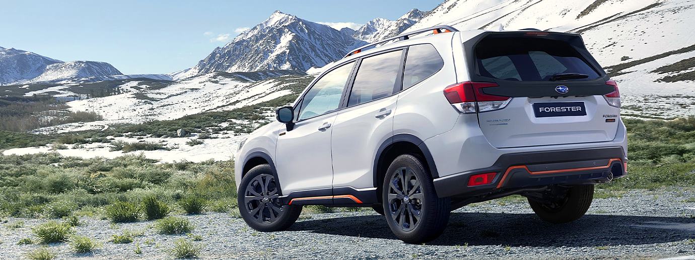 forester-top.jpg