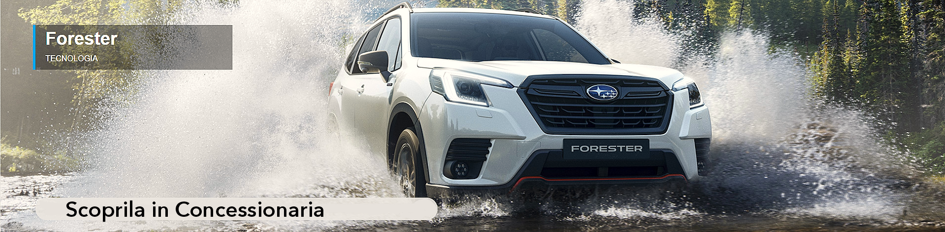 forester-top2.bmp