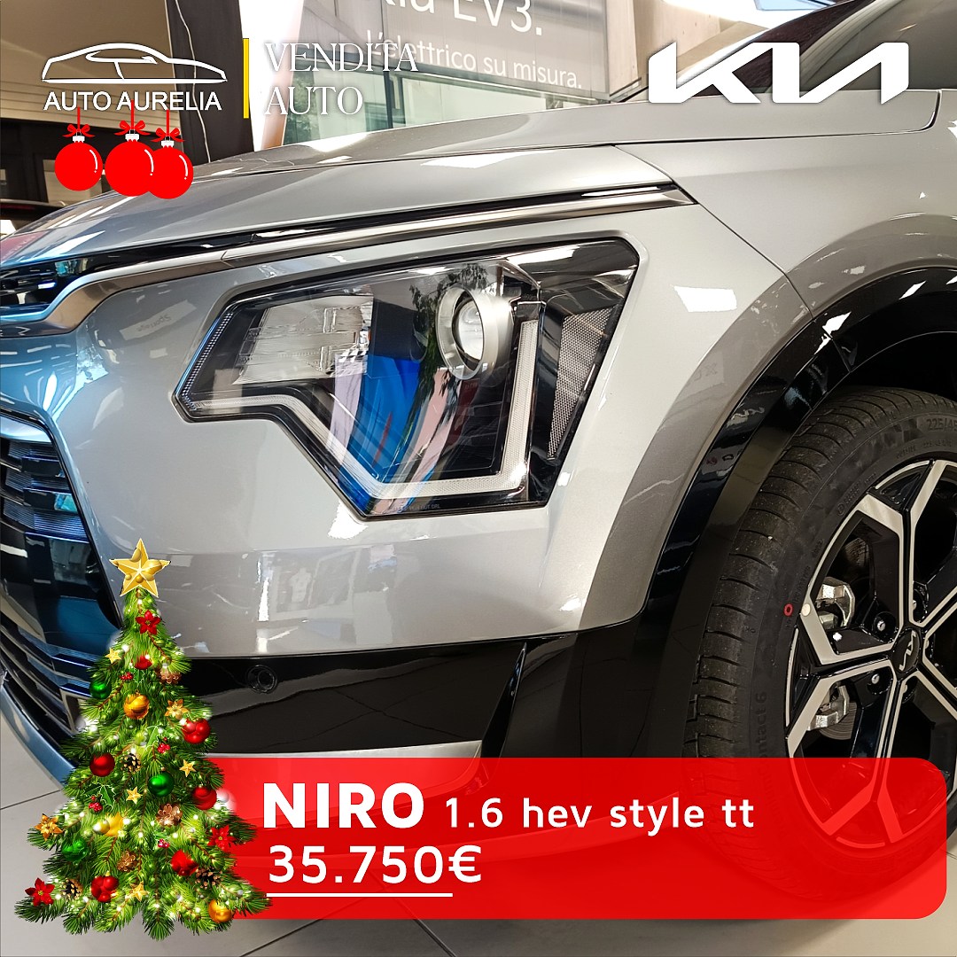 niro2.jpg