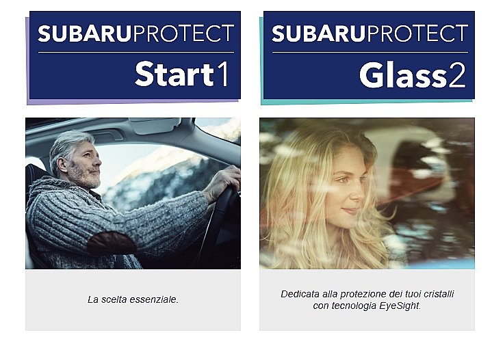 sub-protect01.jpg