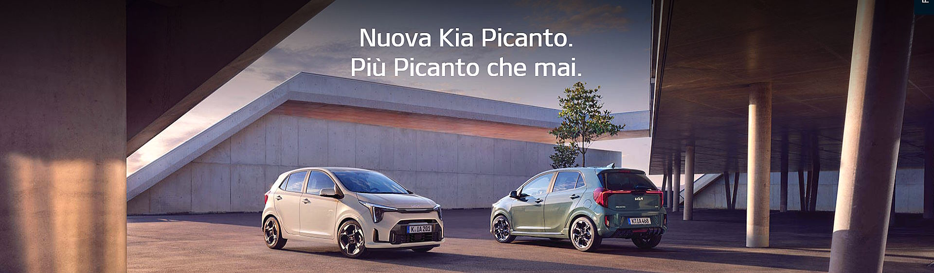 top_picanto.jpg